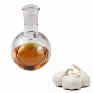 garlic essential oil wholesale price